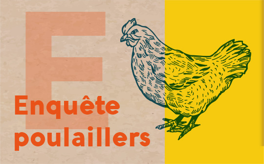 Enquête poulaillers