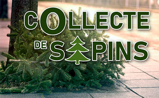 Des collectes "spéciales sapins"