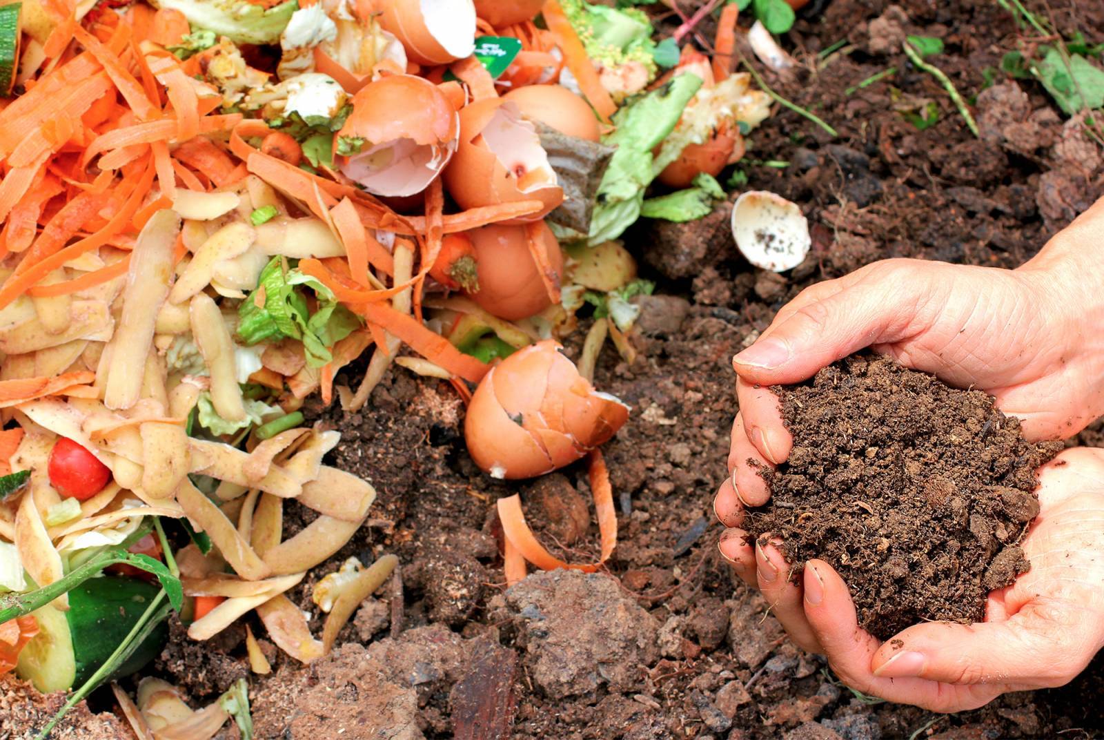 Je composte pour nourrir mon jardin - Gestion des déchets Aix